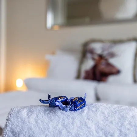 Your Lapland Adventure Base *