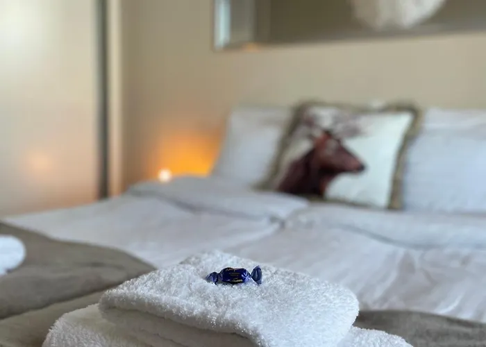 Your Lapland Adventure Base * Rovaniemi