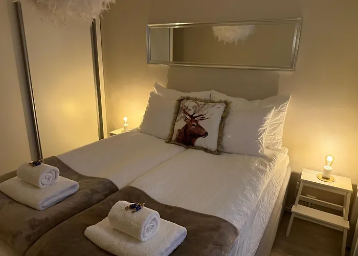 Your Lapland Adventure Base * Rovaniemi